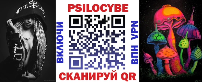 Псилоцибиновые грибы Magic Shrooms  hydra как войти  Терек 